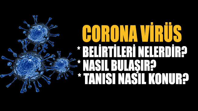 Corona Virüs hakkında tüm merak ettikleriniz bu haberde