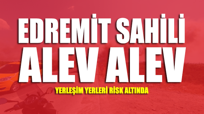 Edremit sahili alev alev: Yangın yerleşim yerlerini tehdit ediyor