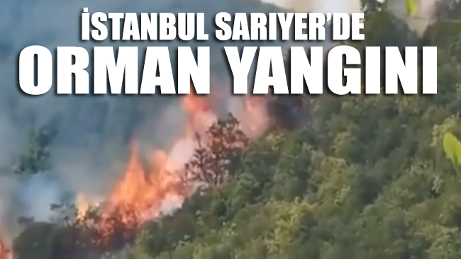 İstanbul Sarıyer'de ormanlık alanda yangın