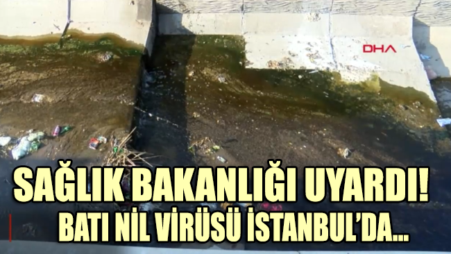 Sağlık Bakanlığı’ndan uyarı! Virüs İstanbul’a ulaştı