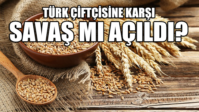 SKANDAL... Türk çiftçisinden 1850 liraya alınan buğday, Meksika'dan 2 bin 350 liraya ithal edilmiş!