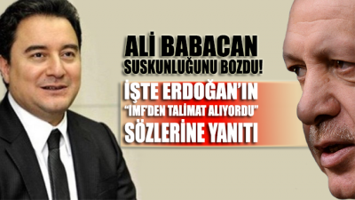 Ali Babacan'dan Erdoğan'a 'IMF' yanıtı