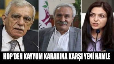 HDP’den kayyum kararına karşı yeni hamle: Yargıya gittiler