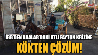 Kriz çıkaran fayton ve atları İstanbul Büyükşehir Belediyesi satın alıyor